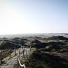 cropped-sand-dunes-7718479_1280.jpg